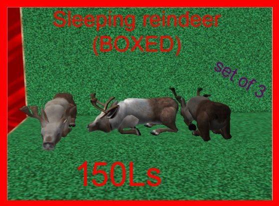 sleeping reindeers (BOXED)