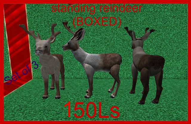 standing reindeers (BOXED)