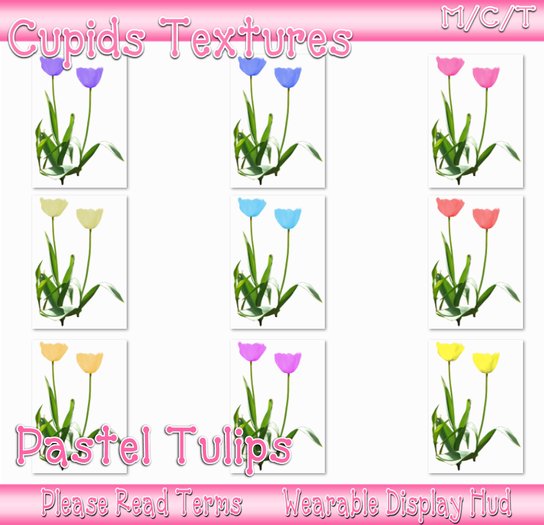 9 PASTEL TULIPS Textures
