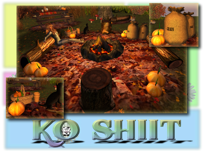  Love Autumn Campfire