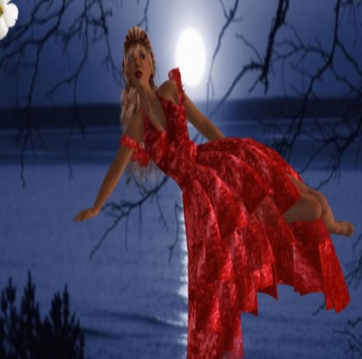 Ballroom Dress
