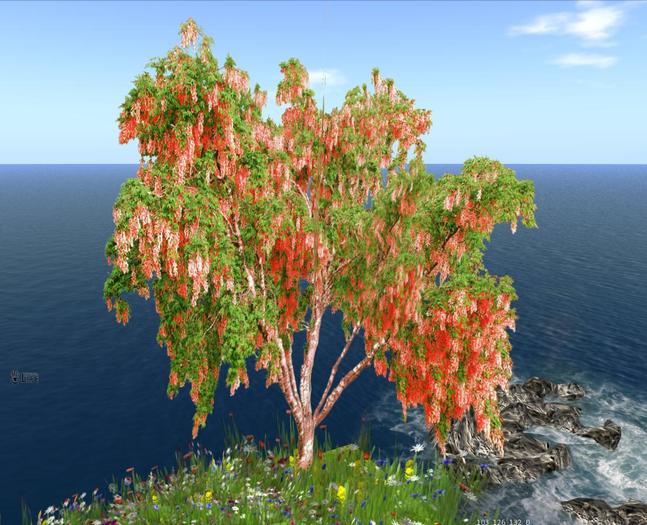 Cascade Tree red