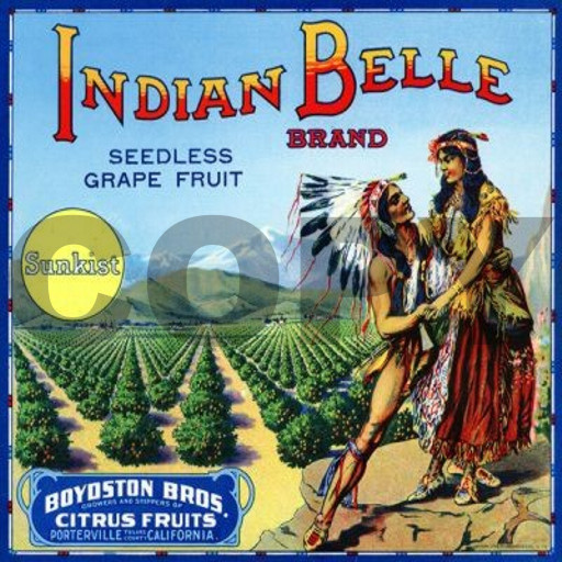 Indian Belle Brand Fruit Crate Label