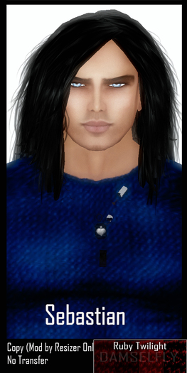 *~*Damselfly*~*Sebastian Ruby Twilight