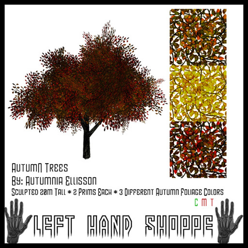 AutumN Trees 