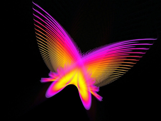 neon butterfly 1