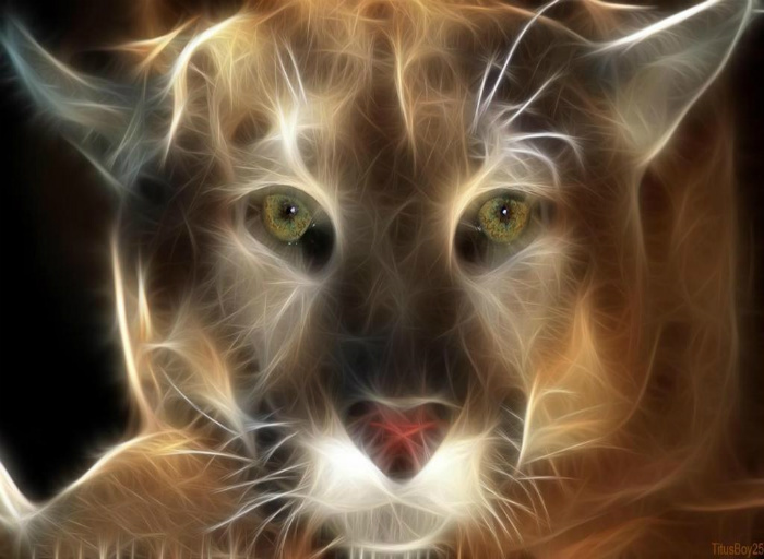 neon cougar
