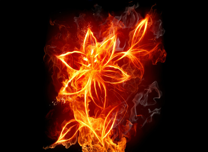 neon flaming flower