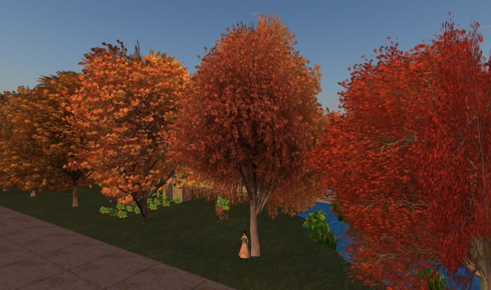 Autumn Silver Maple - 1 prim