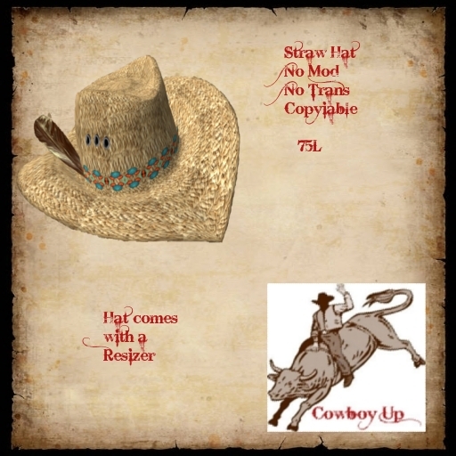 Straw Hat Boxed