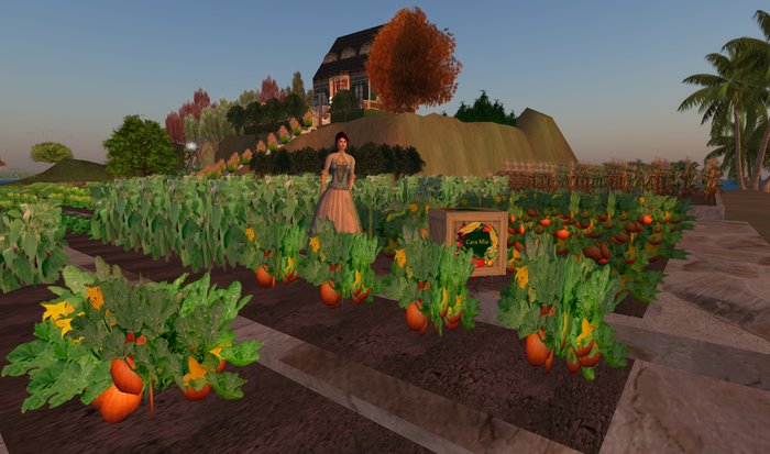 Pumpkin Row - Ultra Light, Prim .5LI, 2 linked = 1 prim, Copy/ Mod