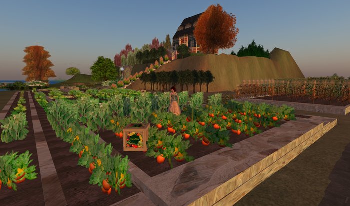 Pumpkin Patch - Ultra Light, Prim .5LI, 2 linked = 1 prim, Copy/ Mod