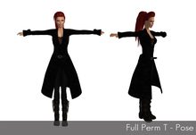 Full Perm T Pose 