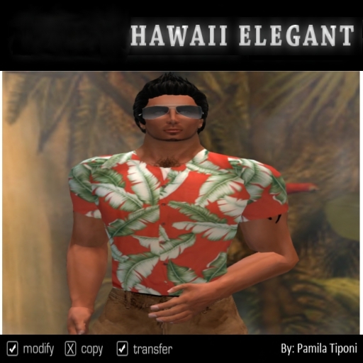 Hawaian Orange Shirt