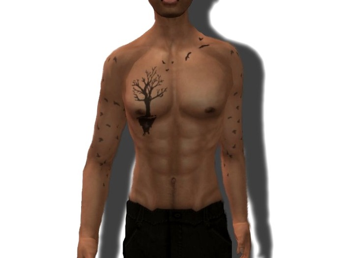 ***RAZP Birds Flock Off