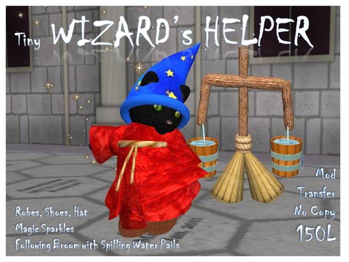 Tiny Wizard's Helper Costume