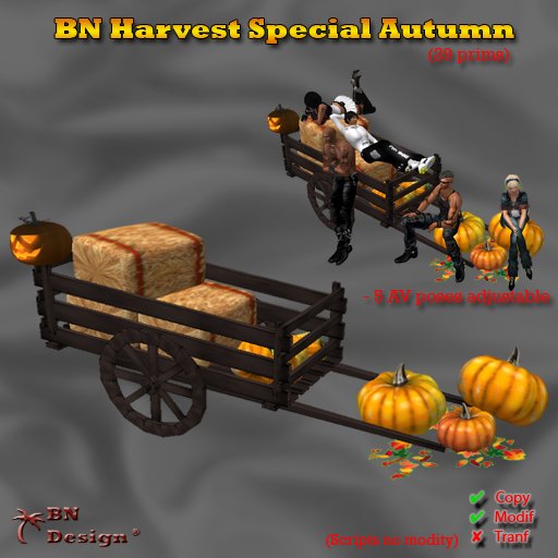 BN Harvest Special Autumn