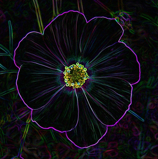 neon flower 4