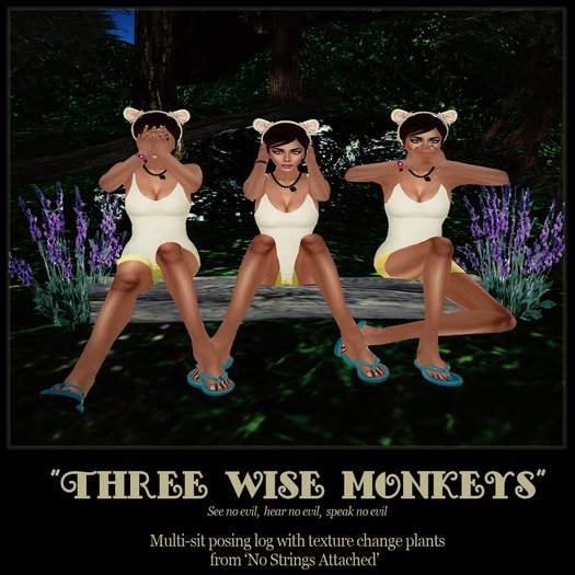 'NSA' - Three Wise Monkeys