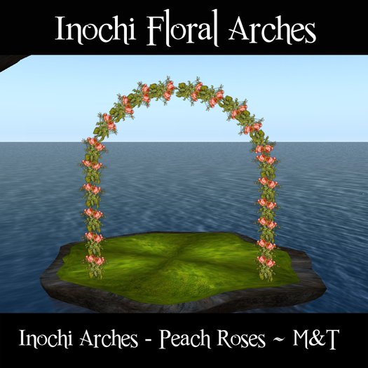 Inochi Floral Arch -  Peach Roses