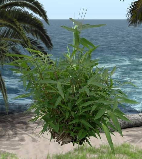CJ Flower Hedge Bamboo