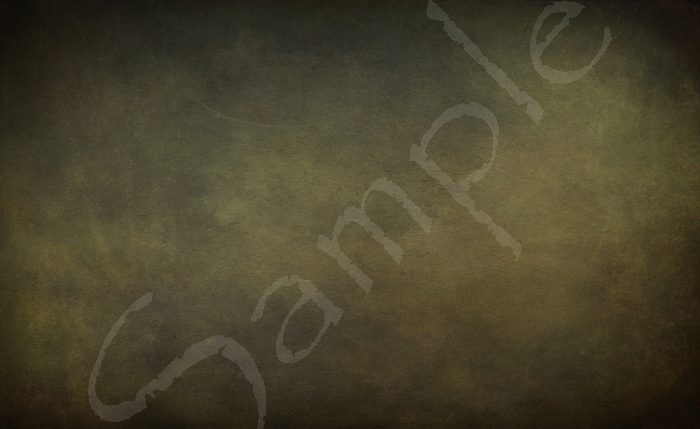 Leather  3.4 FULL PERMS