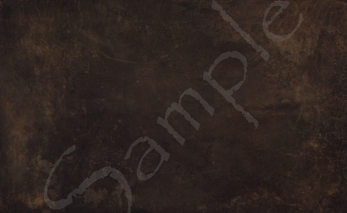 レザー 3.6 すべての権限