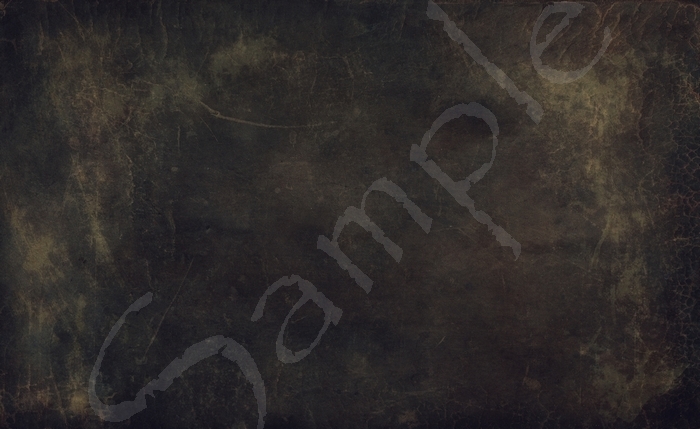 Leather  3.8 FULL PERMS