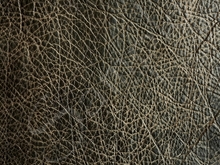 Leather  4.5 FULL PERMS