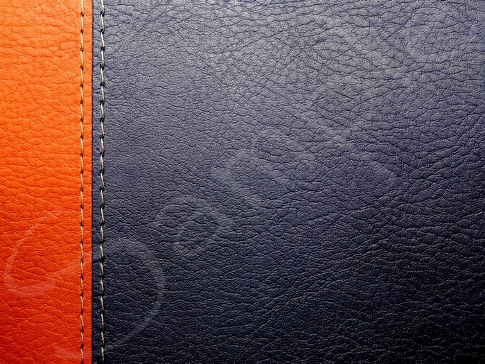 Leather  5.4 FULL PERMS