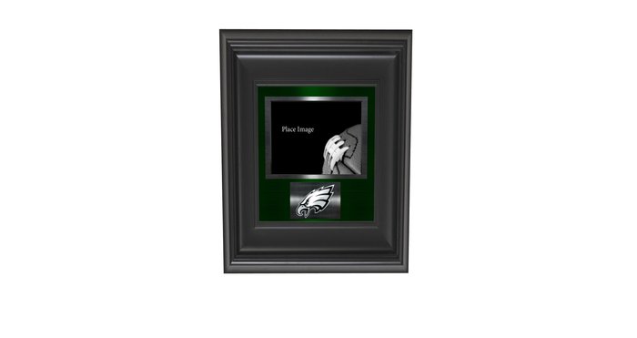 *FRAMED* Eagles Frame