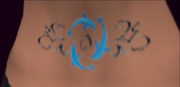Dolphin Tattoo-Box