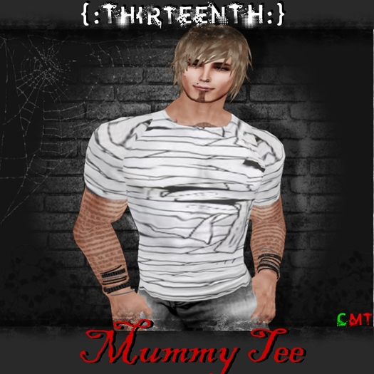 {:ThirteenTH:} Mummy Tee_Male