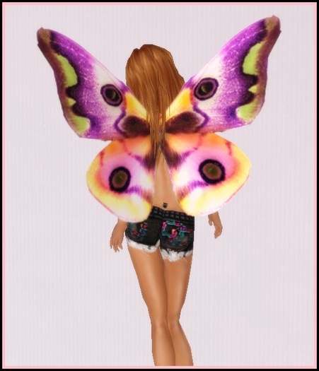Pansy Wings