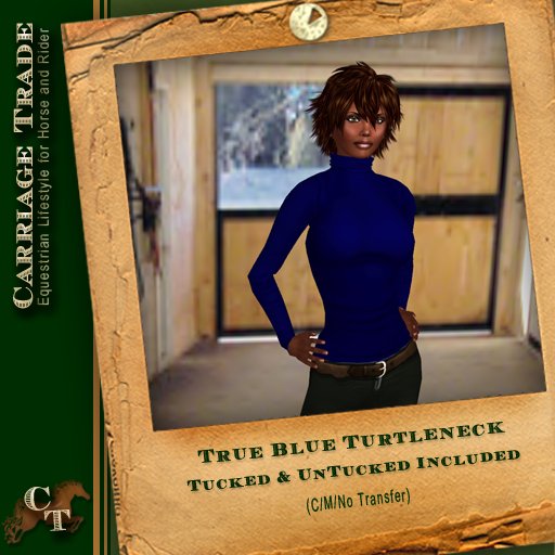 @CT@  T-Neck Sweater Women True Blue