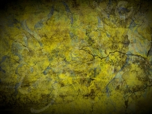 Decayed Wall 1.1 FULL PERMS