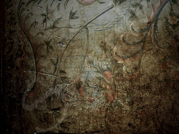 Decayed Wall 1.3 FULL PERMS