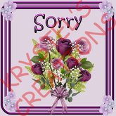 Sorry55 Sorry (Wear Me)