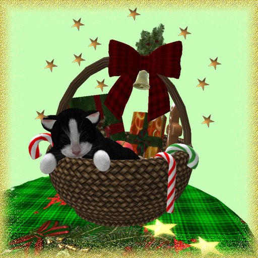 kitten gift basket