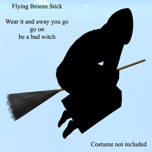 Flying Broom Stick