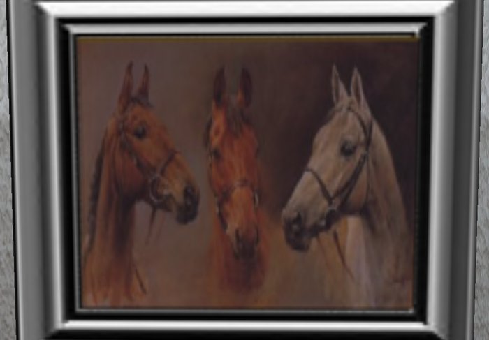 Horses
