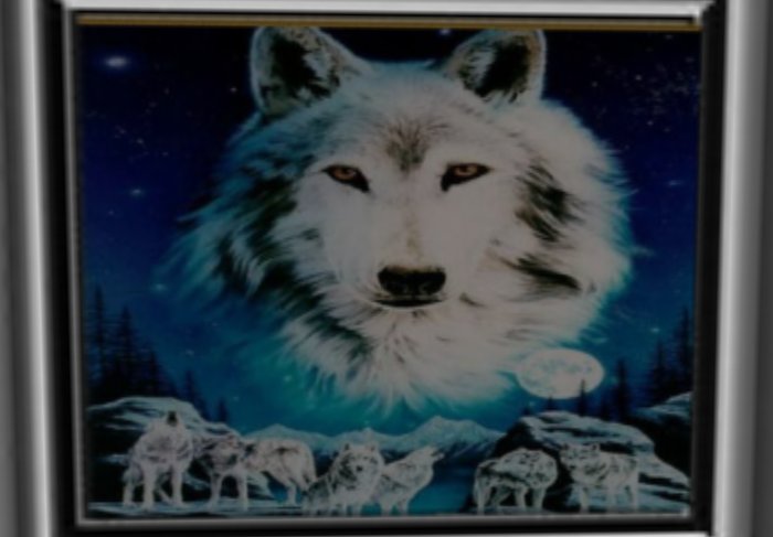 Midnight Wolf
