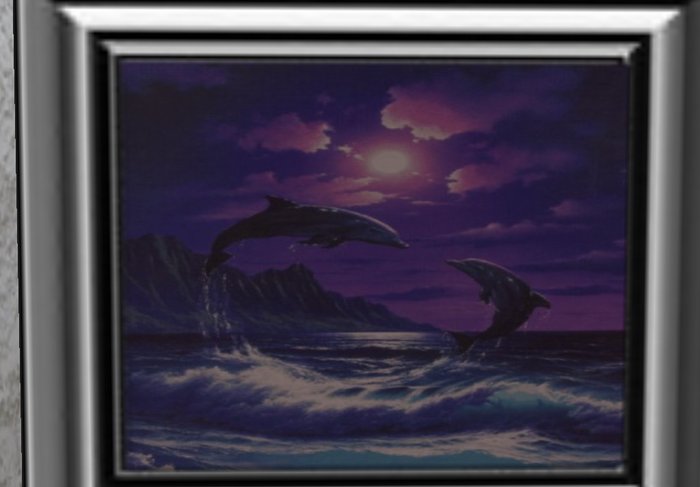 Moonlight Dolphins