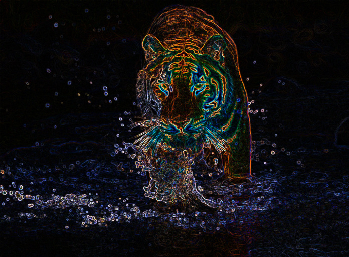 neon tiger 1
