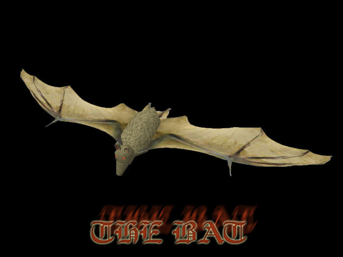 Ultimate Halloween Bat - Flying & Circling