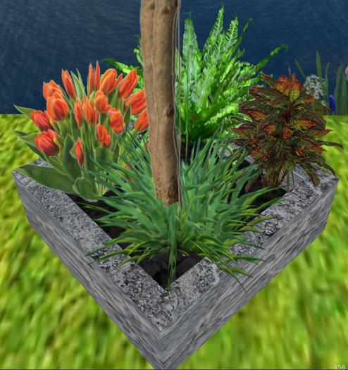 Planter, beautiful, plants and tree 3