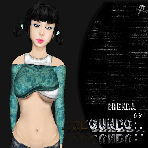 .:SEGUNDO:. Brenda shape
