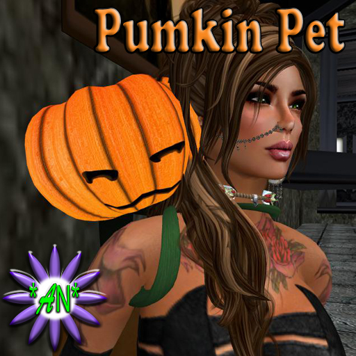 *AN* Pumpkin Pet