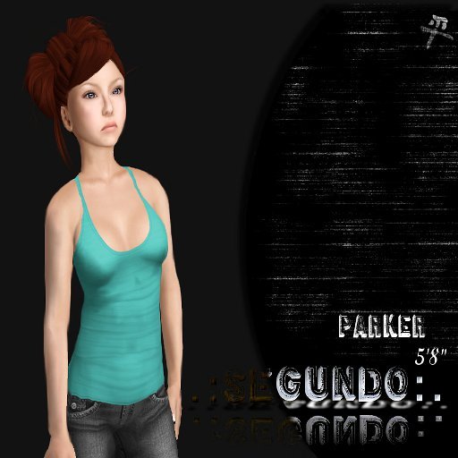 .:SEGUNDO:. Parker shape