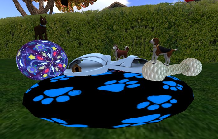 DOGGIE TOYS DISPLAY